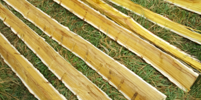 Bodock Bow Staves