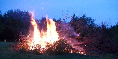 Osage Orange Bon Fire