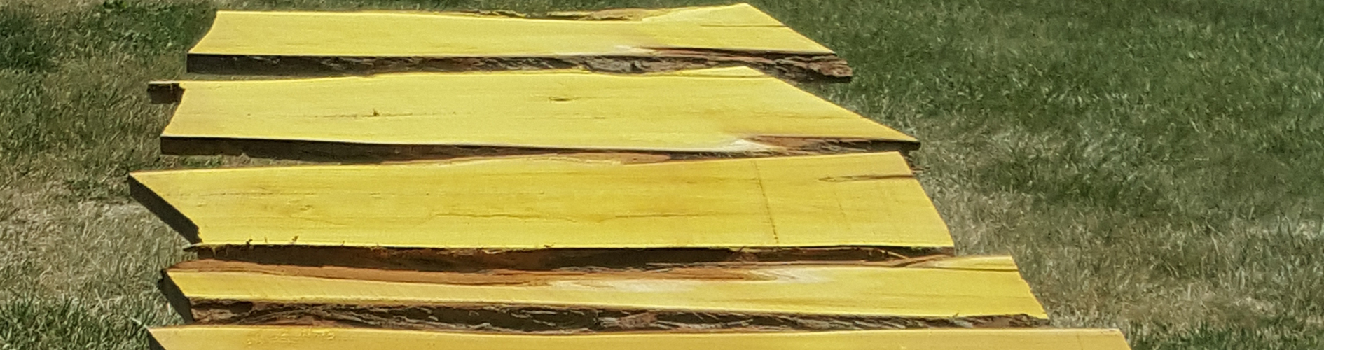 Osage Orange Boards
